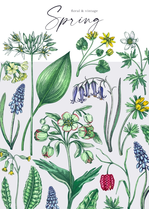 Delicate spring design template. Wildflowers in color. Woodland wild flower sketches. Floral background, greeting card or invitation. Hand drawn vector illustration, NOT AI